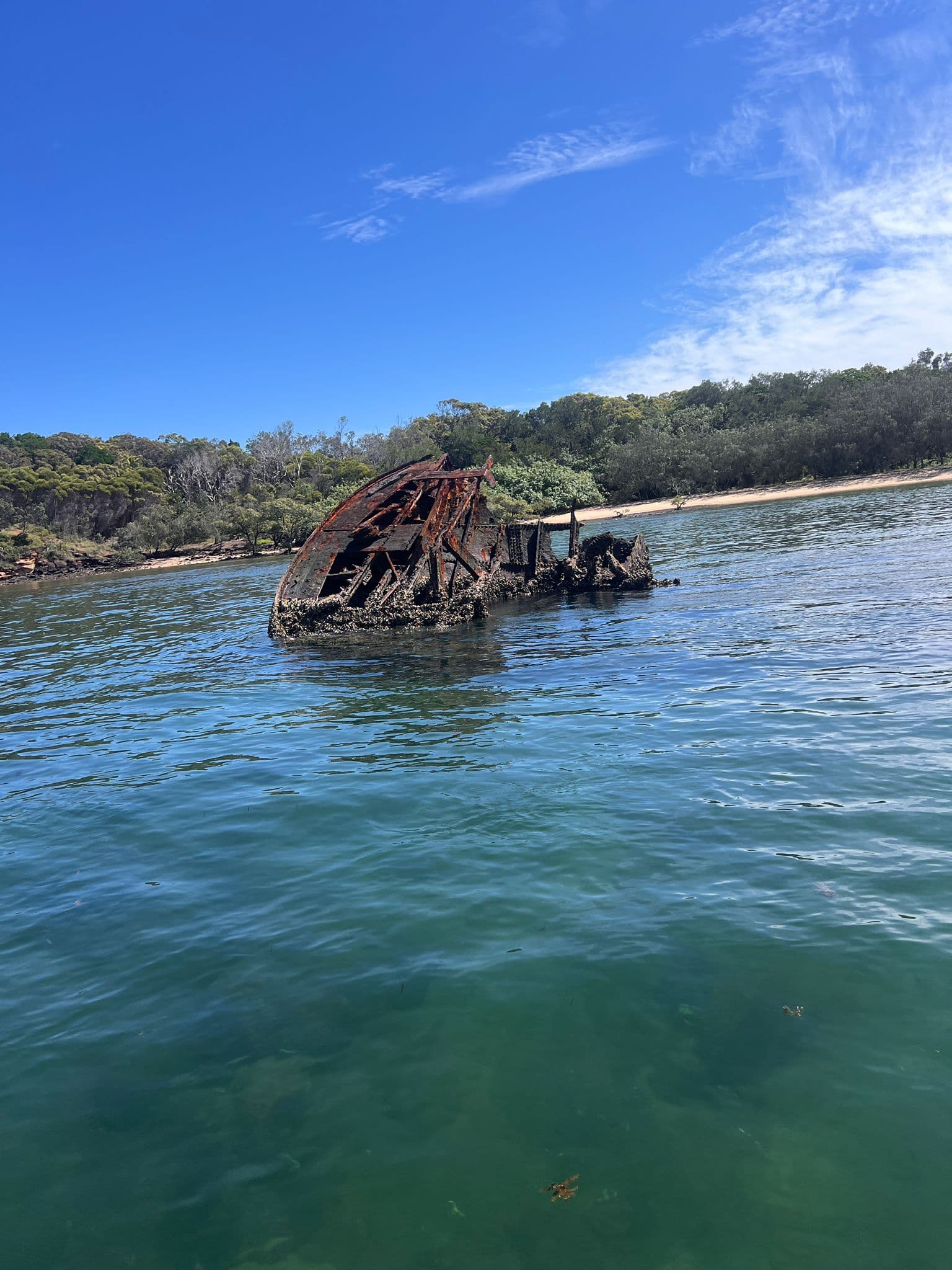 Big Reds Aussie Adventures photo 2